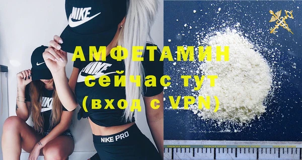 винт Абаза