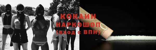 винт Абаза