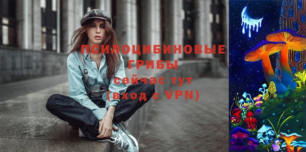 винт Абаза