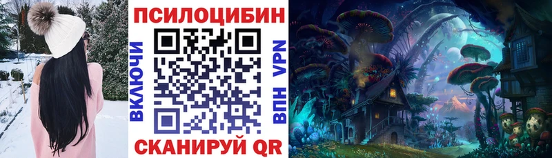 дарнет шоп  Эртиль  Псилоцибиновые грибы Magic Shrooms 